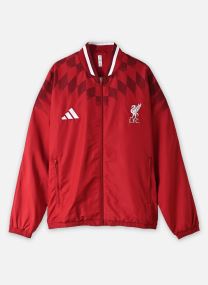 Vestes de survêtement LFC ST TT homme bordeaux adidas sportswear Vestes de survêtement LFC ST TT homme bordeaux active maroon