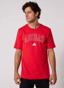 Tee-shirts M COLLEGIATE T homme rouge