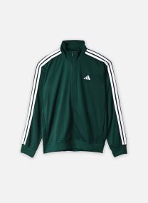 Vestes de survêtement M DAYRDY TT homme vert adidas sportswear Vestes de survêtement M DAYRDY TT homme vert collegiate green