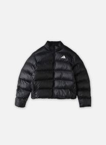 Daunenjacken W ESS SD PUF J damen schwarz