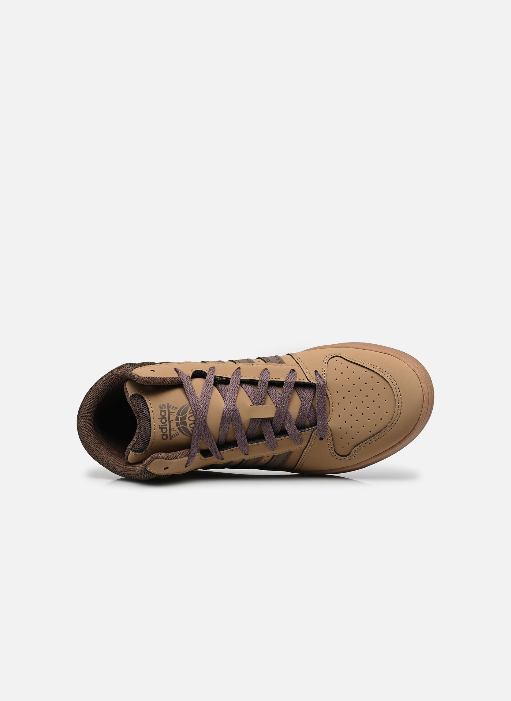 Baskets montantes HOOPS MID CLASSIC homme marron adidas sportswear Baskets montantes HOOPS MID CLASSIC homme marron CARDBOARD
