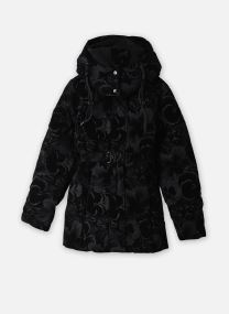 Gewatteerde jassen Padded Lucienne dames zwart