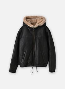 Jassen en mantels Blouson En Peau Lainee Schott LCWCELIA dames zwart Schott Jassen en mantels Blouson En Peau Lainee Schott LCWCELIA dames zwart BLACK/BEIGE