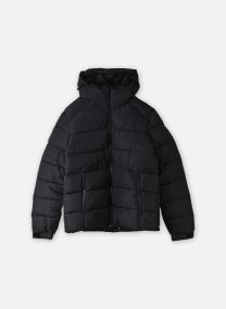Doudounes Doudoune Courte Schott ETHLEY homme noir Schott Doudounes Doudoune Courte Schott ETHLEY homme noir BLACK