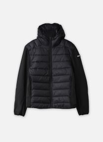 Doudounes Doudoune Light Schott KALWELL homme noir Schott Doudounes Doudoune Light Schott KALWELL homme noir BLACK