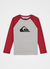 T-Shirts Ev Comp Raglan jungen grau