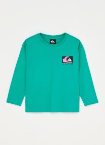 Tee-shirts Kingpin Ls Tee garçon vert
