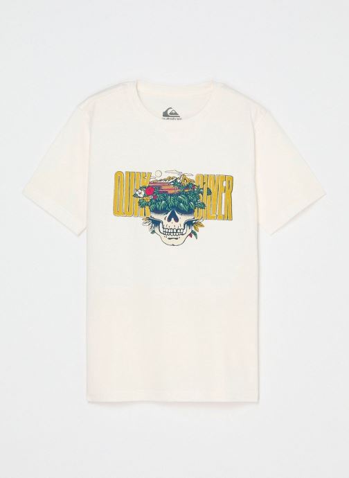 Quiksilver T-Shirts Paradise Point jungen weiß