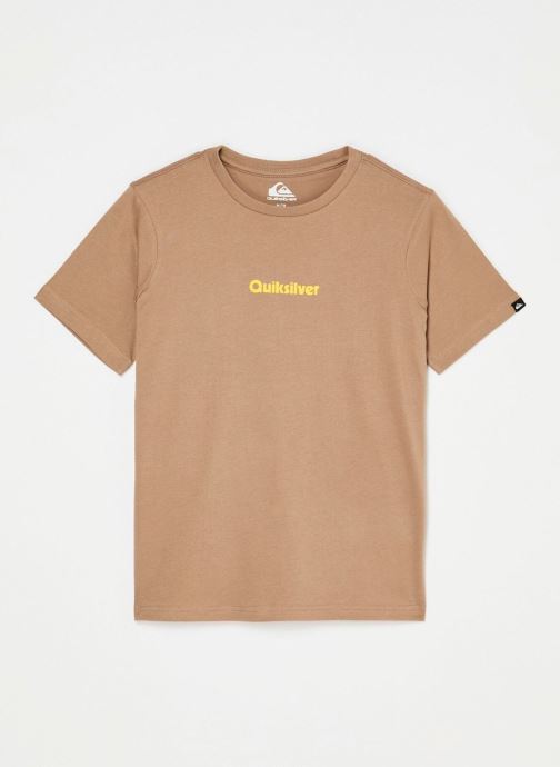 Quiksilver Tee-shirts Rays Ss Y garçon marron