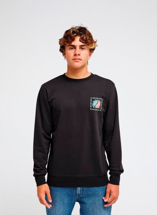 Quiksilver Sweatshirts Vibes Crew Yout herren grau