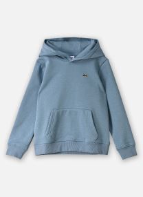 Sweatshirts LCB CORE FLEECE PULLOVER HOODI jongens blauw
