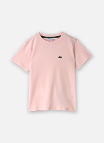 T-shirts LCB CORE TEE jongens roze Lacoste T-shirts LCB CORE TEE jongens roze NIDUS