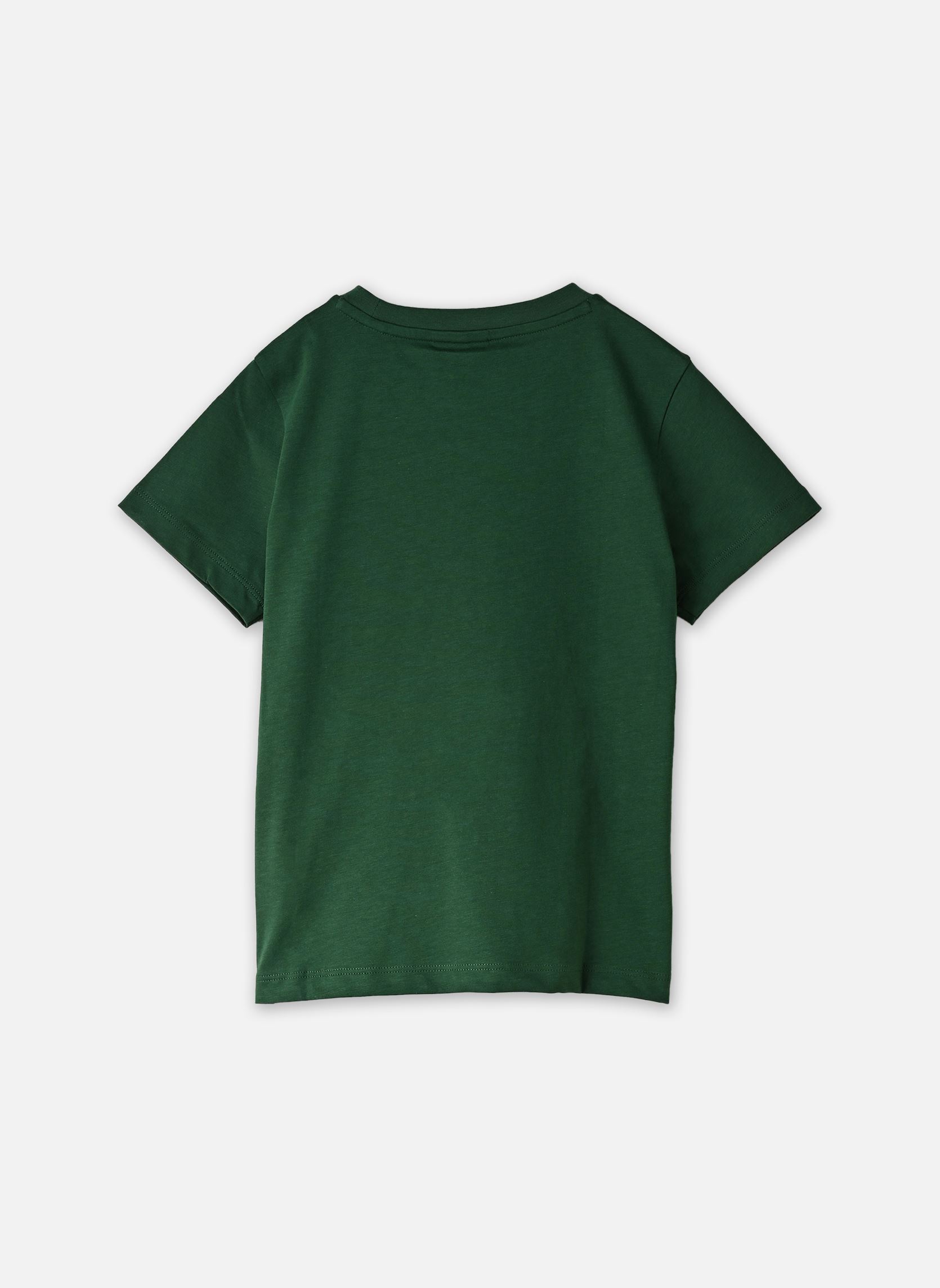 T-shirts LCB CORE TEE jongens groen Lacoste T-shirts LCB CORE TEE jongens groen VERT