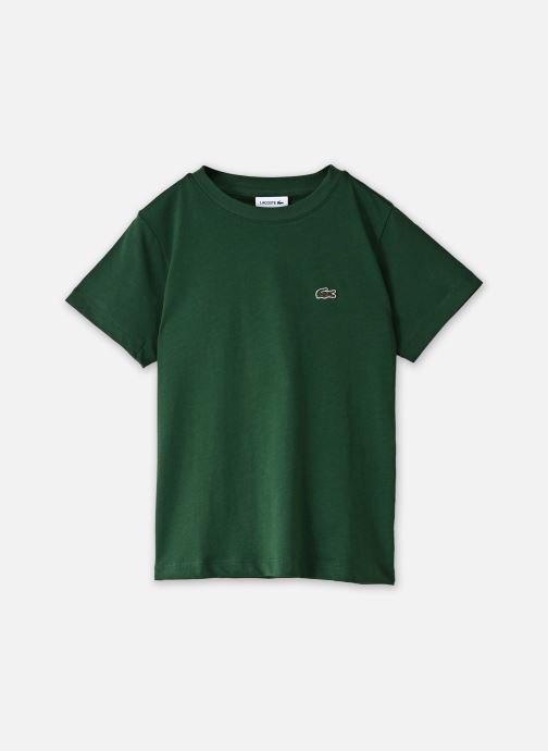 Lacoste Tee-shirts LCB CORE TEE garçon vert