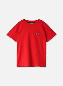 T-shirts LCB CORE TEE jongens zwart