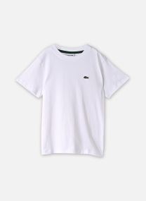 T-shirts LCB CORE TEE jongens zwart