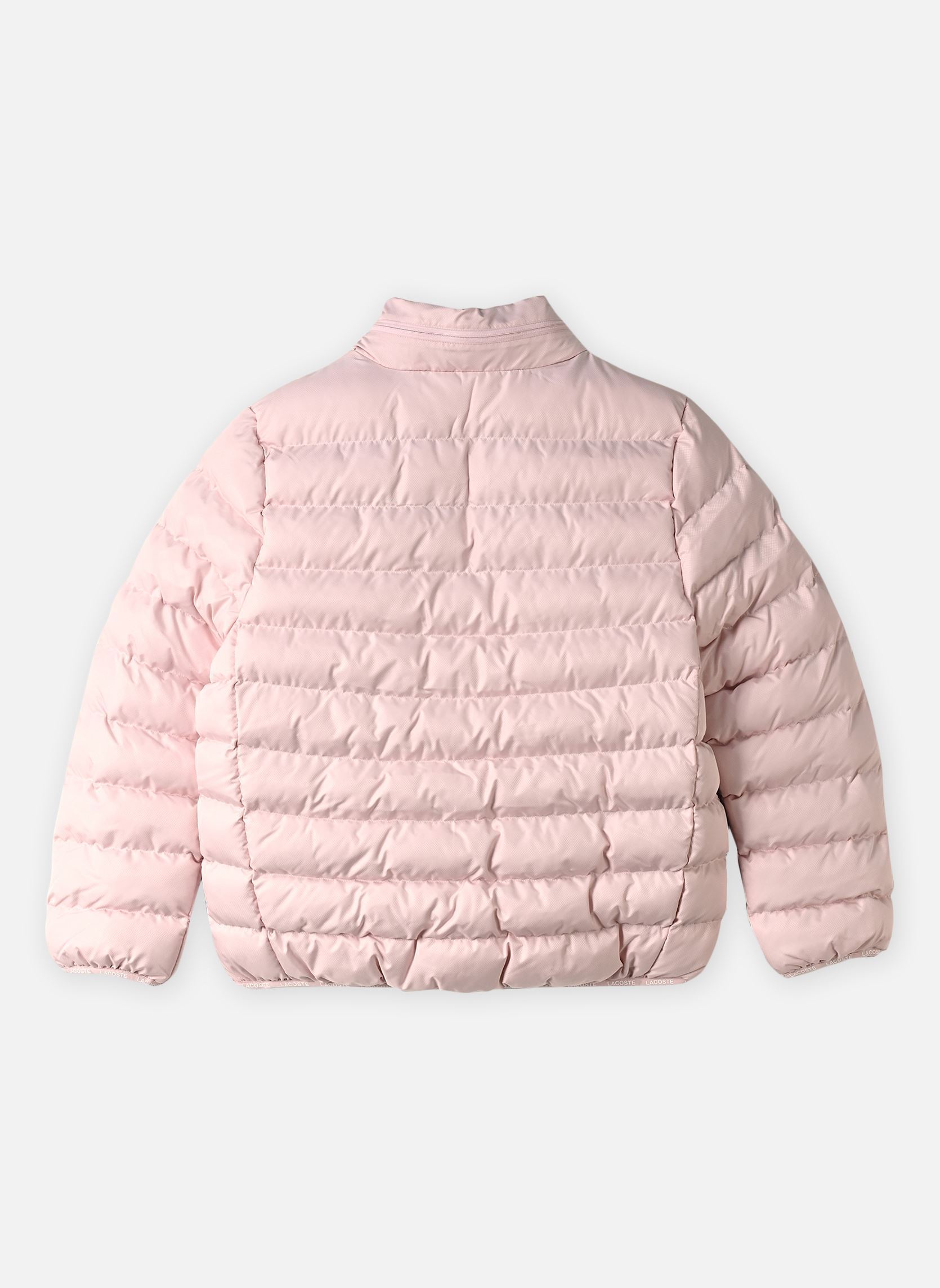 Doudounes LCN LACOSTE MID WT PUFFER rose Lacoste Doudounes LCN LACOSTE MID WT PUFFER rose NIDUS