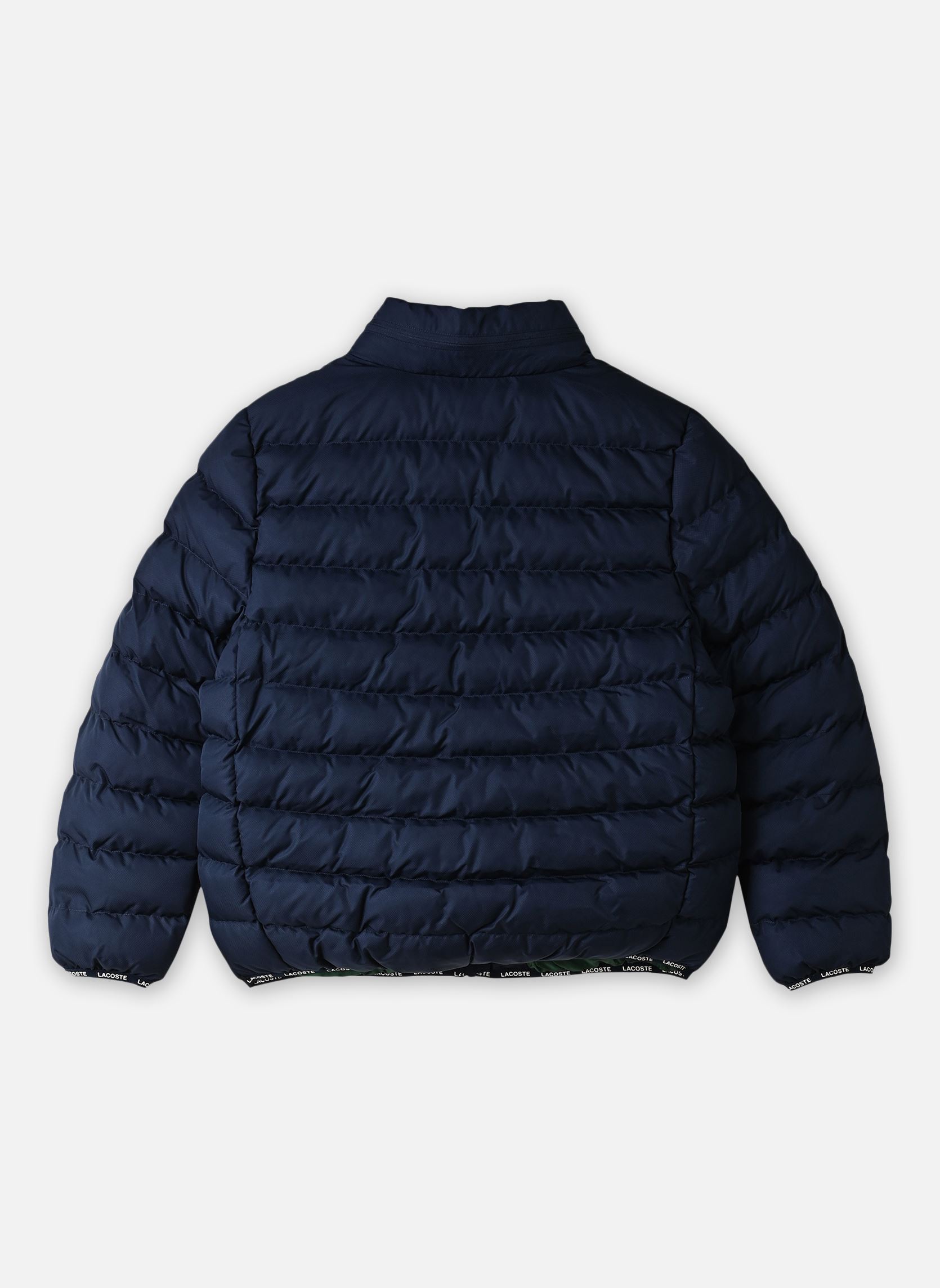 Doudounes LCN LACOSTE MID WT PUFFER marine Lacoste Doudounes LCN LACOSTE MID WT PUFFER marine MARINE