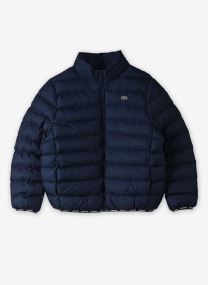 Doudounes LCN LACOSTE MID WT PUFFER marine