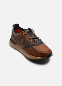 Baskets SANDIEGO homme marron