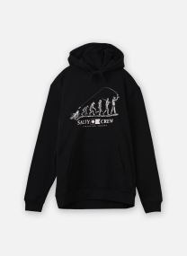 Sweatshirts Evolution Theory Hoodie herren schwarz Salty Crew Sweatshirts Evolution Theory Hoodie herren schwarz BLACK