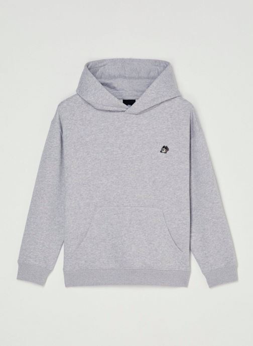 Element Sweatshirts Summit Y jungen grau