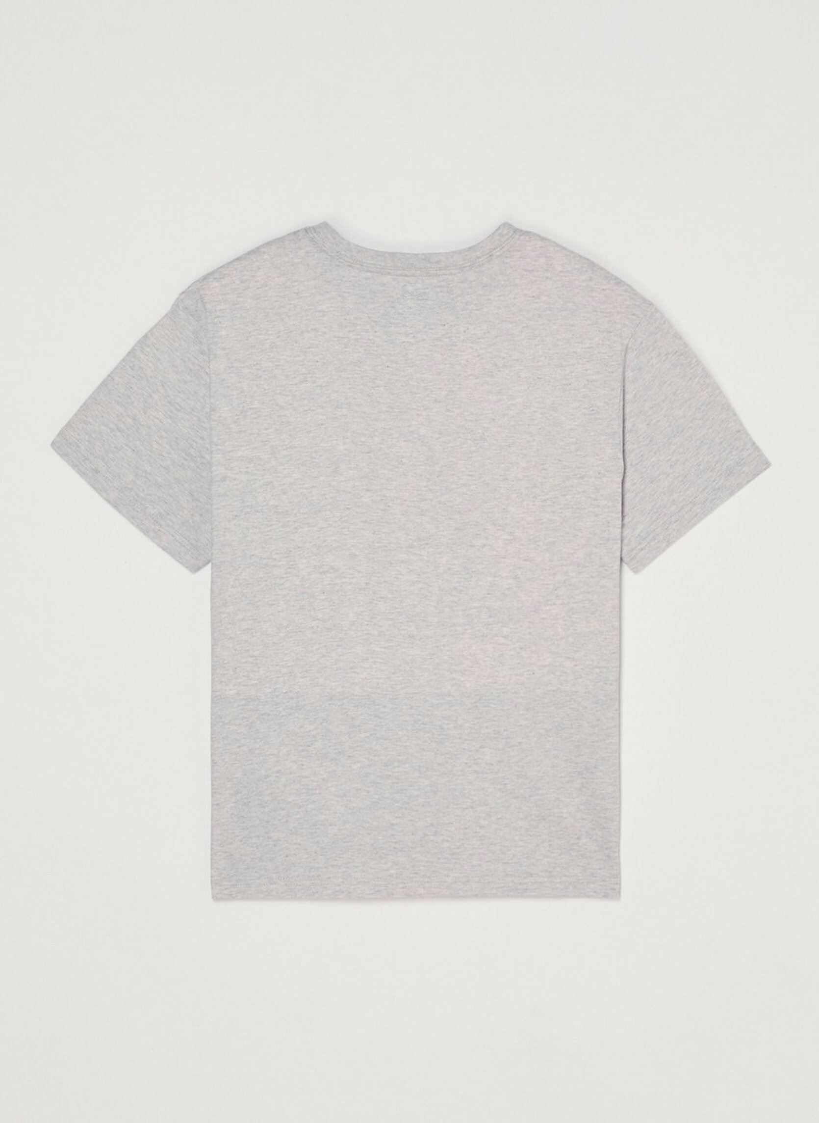 Tee-shirts Teaching Snake Y garçon gris Element Tee-shirts Teaching Snake Y garçon gris MID GREY HEATHER