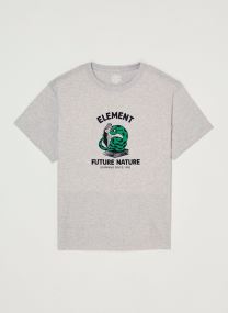 Tee-shirts Teaching Snake Y garçon gris Element Tee-shirts Teaching Snake Y garçon gris MID GREY HEATHER