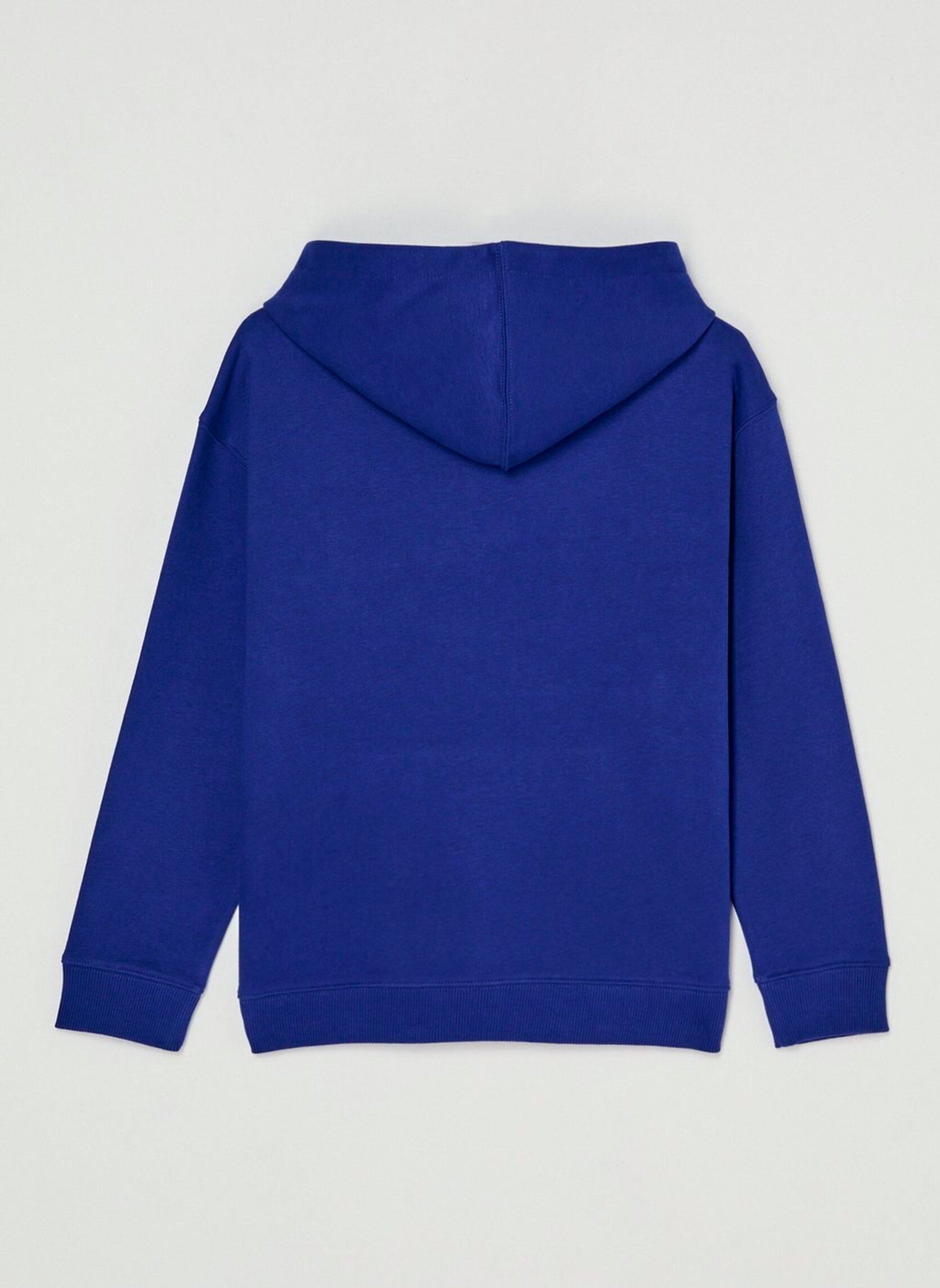 Sweatshirts Timber Carry Y jungen blau Element Sweatshirts Timber Carry Y jungen blau BELLWEATHER BLUE