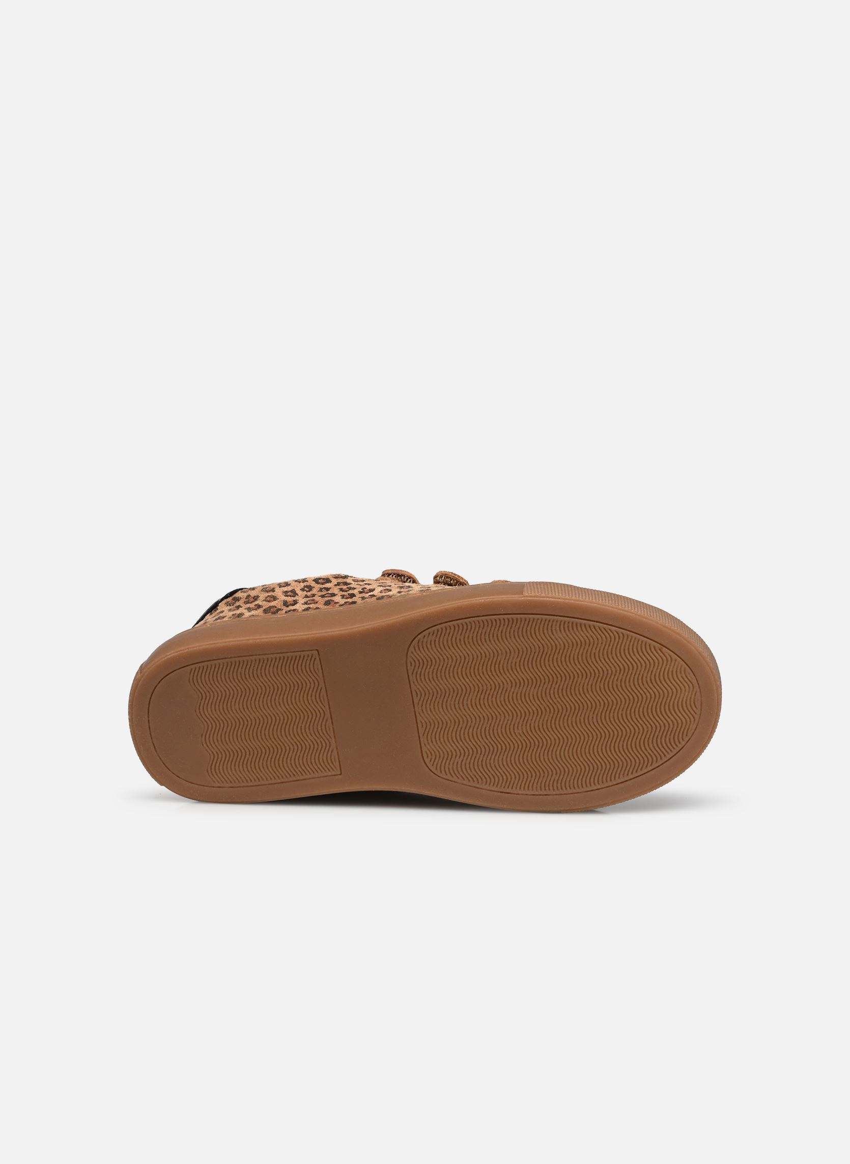 Niedrige Sneaker Basil Scratch mädchen braun Bonton Niedrige Sneaker Basil Scratch mädchen braun LEOPARD-BROWN