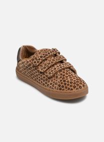Niedrige Sneaker Basil Scratch mädchen braun
