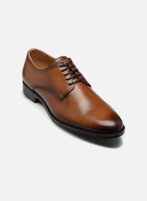 Derbies FERROL homme marron