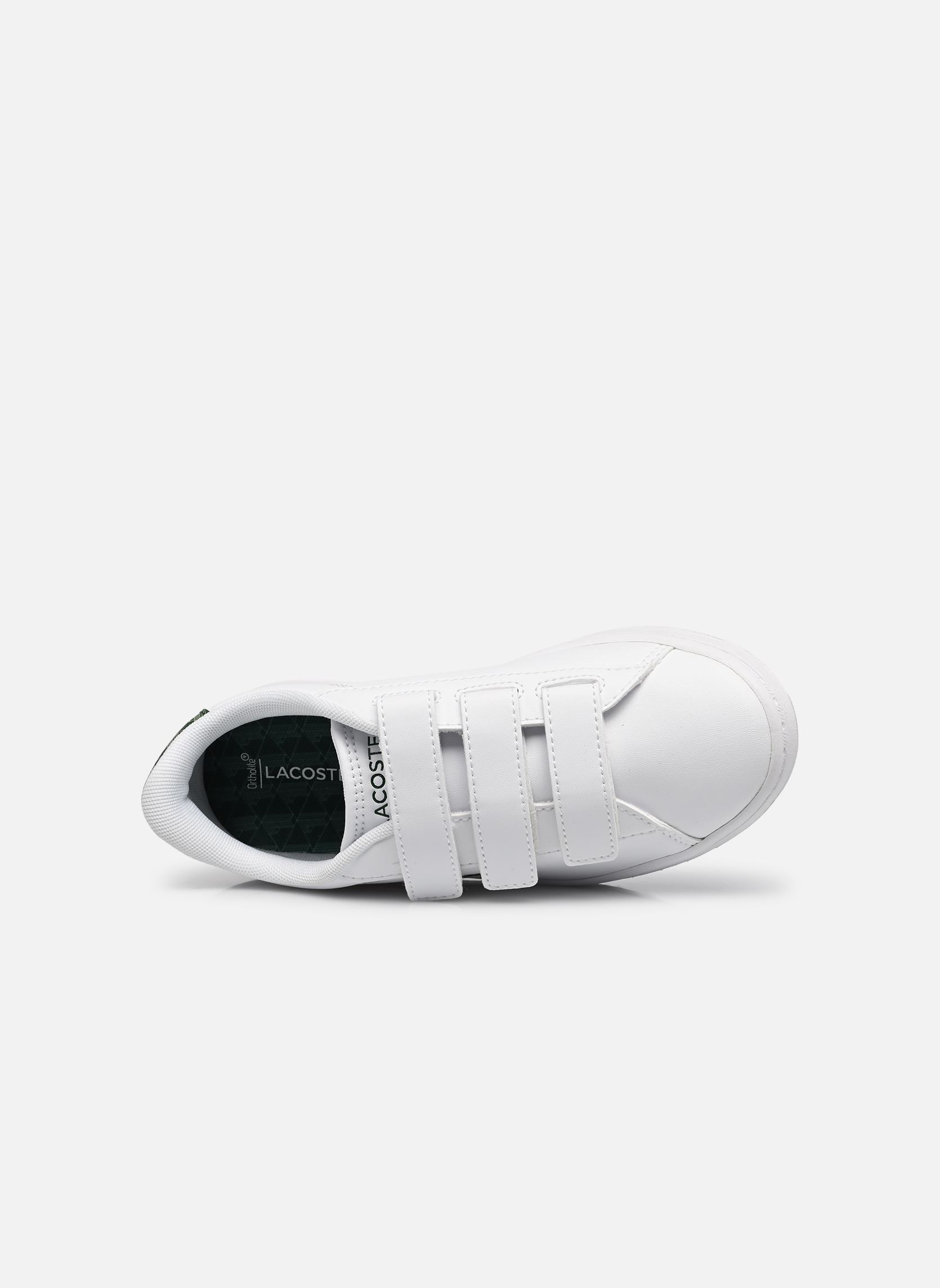 Baskets basses Carnaby Monogram SUC blanc Lacoste Baskets basses Carnaby Monogram SUC blanc WHT/GRN