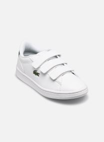 Baskets basses Carnaby Monogram SUC blanc