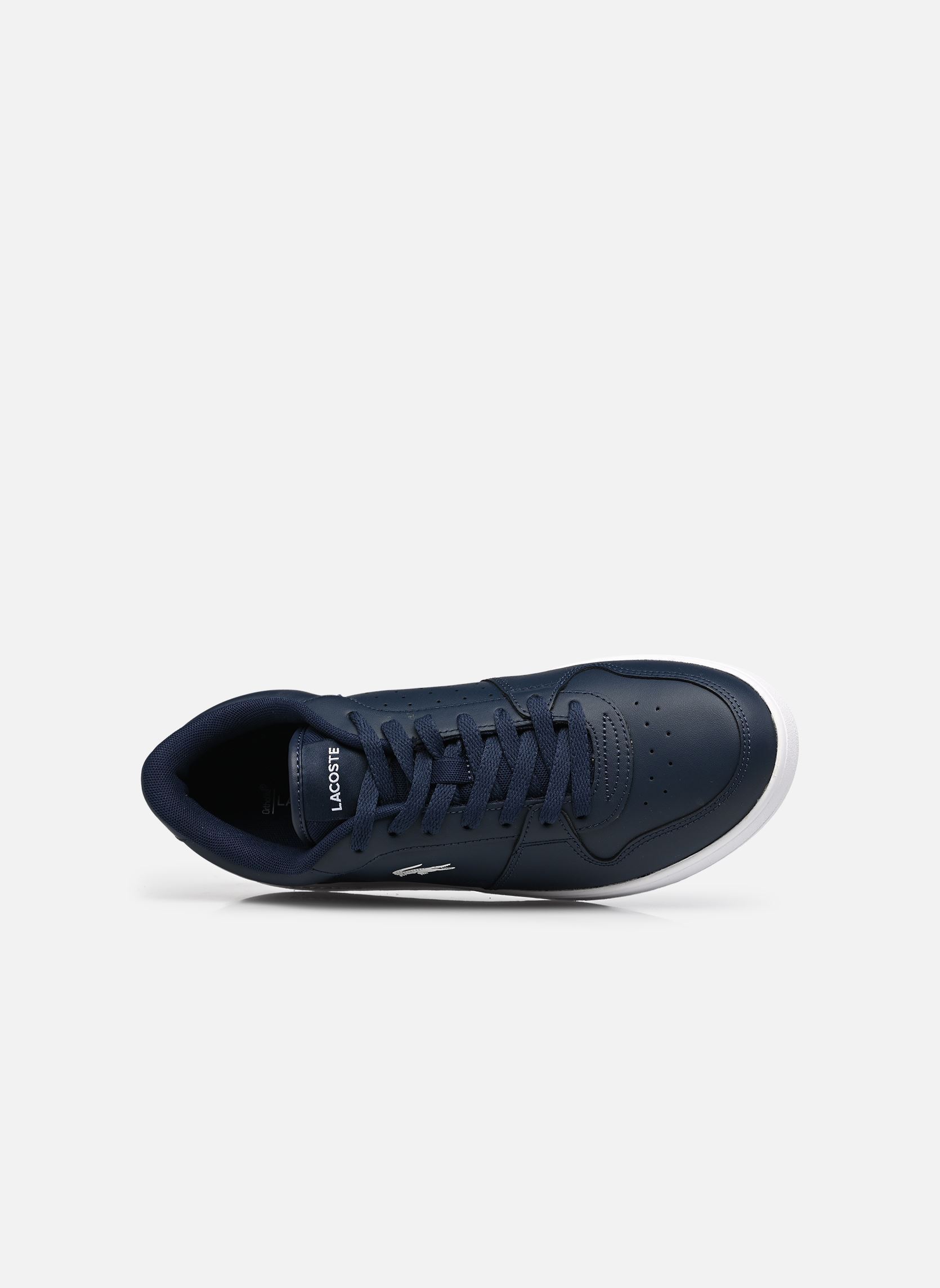 Baskets basses Court Ace M homme bleu Lacoste Baskets basses Court Ace M homme bleu NVY/WHT