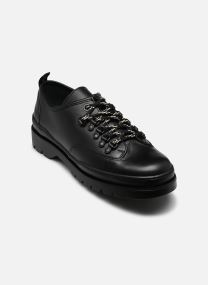 Derby schoenen COURRIER CG heren zwart