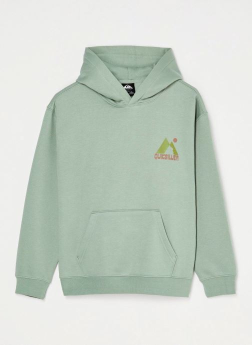 Quiksilver Sweatshirts Graphic Hoodie Y jungen grün
