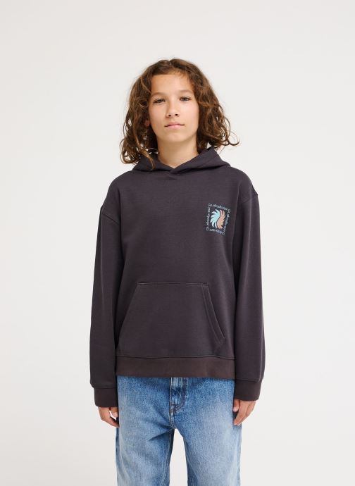 Quiksilver Sweatshirts Graphic Hoodie Y jungen schwarz