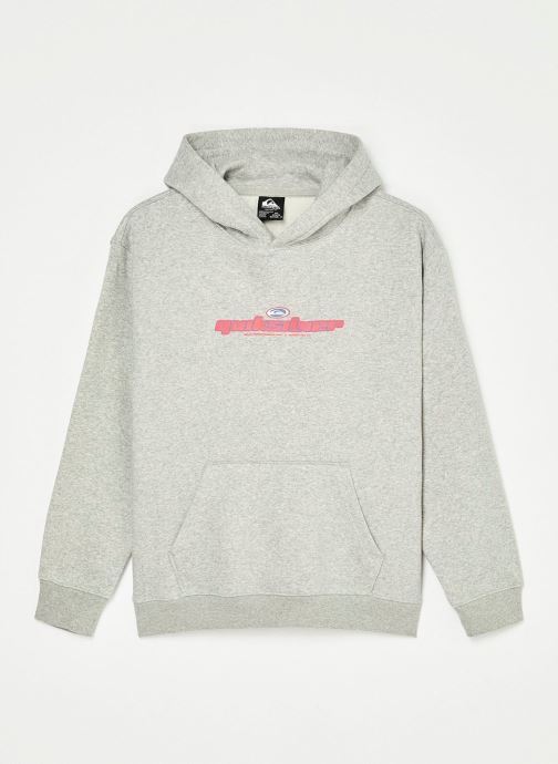 Quiksilver Sweatshirts Graphic Hoodie Y jungen grau