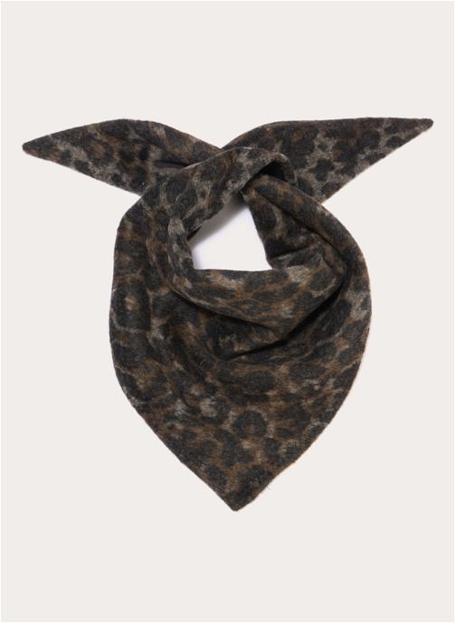 Cache Cache Foulards FOTRILEO femme marron
