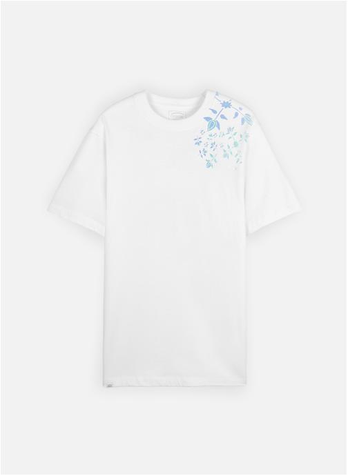 Oxbow Tee-shirts TASTA homme blanc