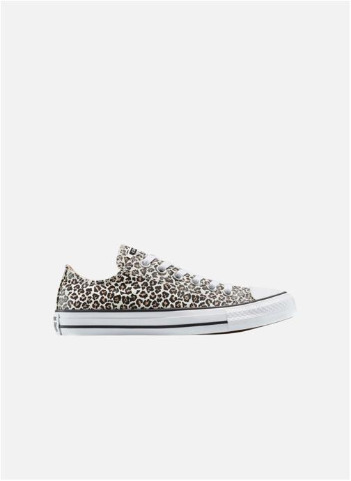 Converse Baskets basses Chuck Taylor All Star Leopard homme multicolore