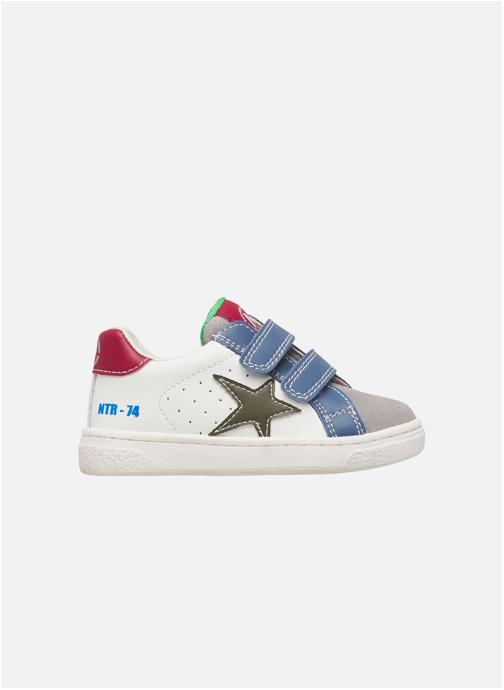 Naturino Baskets basses Sneakers PINN VL. Blanc crème-Céleste garçon blanc