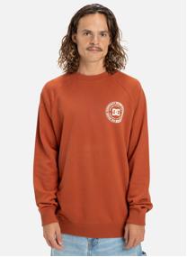 Sweats à capuche DC Corpo Raglan homme orange