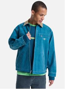 Blousons Shaper Pad homme bleu Quiksilver Blousons Shaper Pad homme bleu Bleu