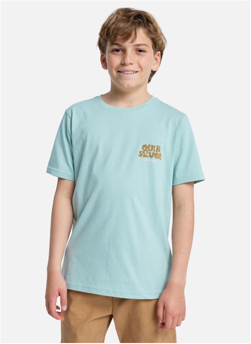 Quiksilver Tee-shirts Fruits Tide garçon bleu