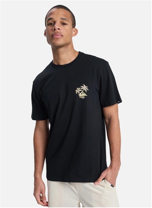 Quiksilver Tee-shirts Evo Learning From Nature homme noir
