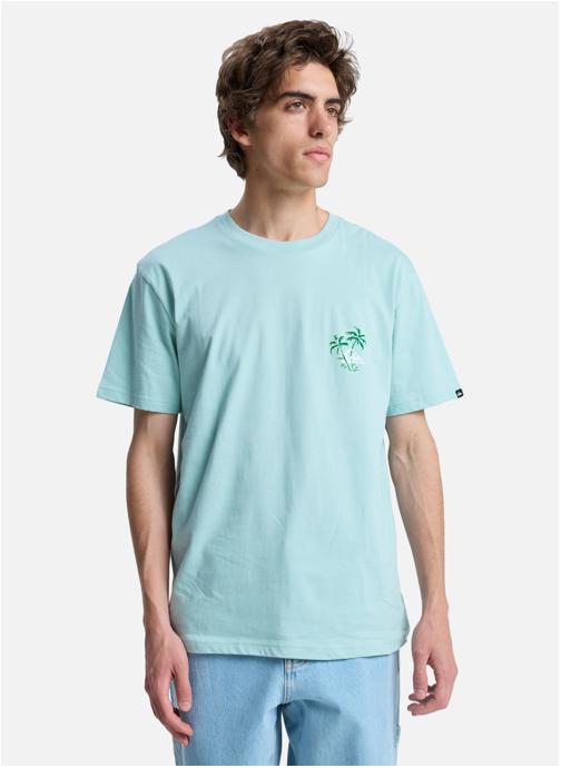 Quiksilver Tee-shirts Evo Learning From Nature homme bleu