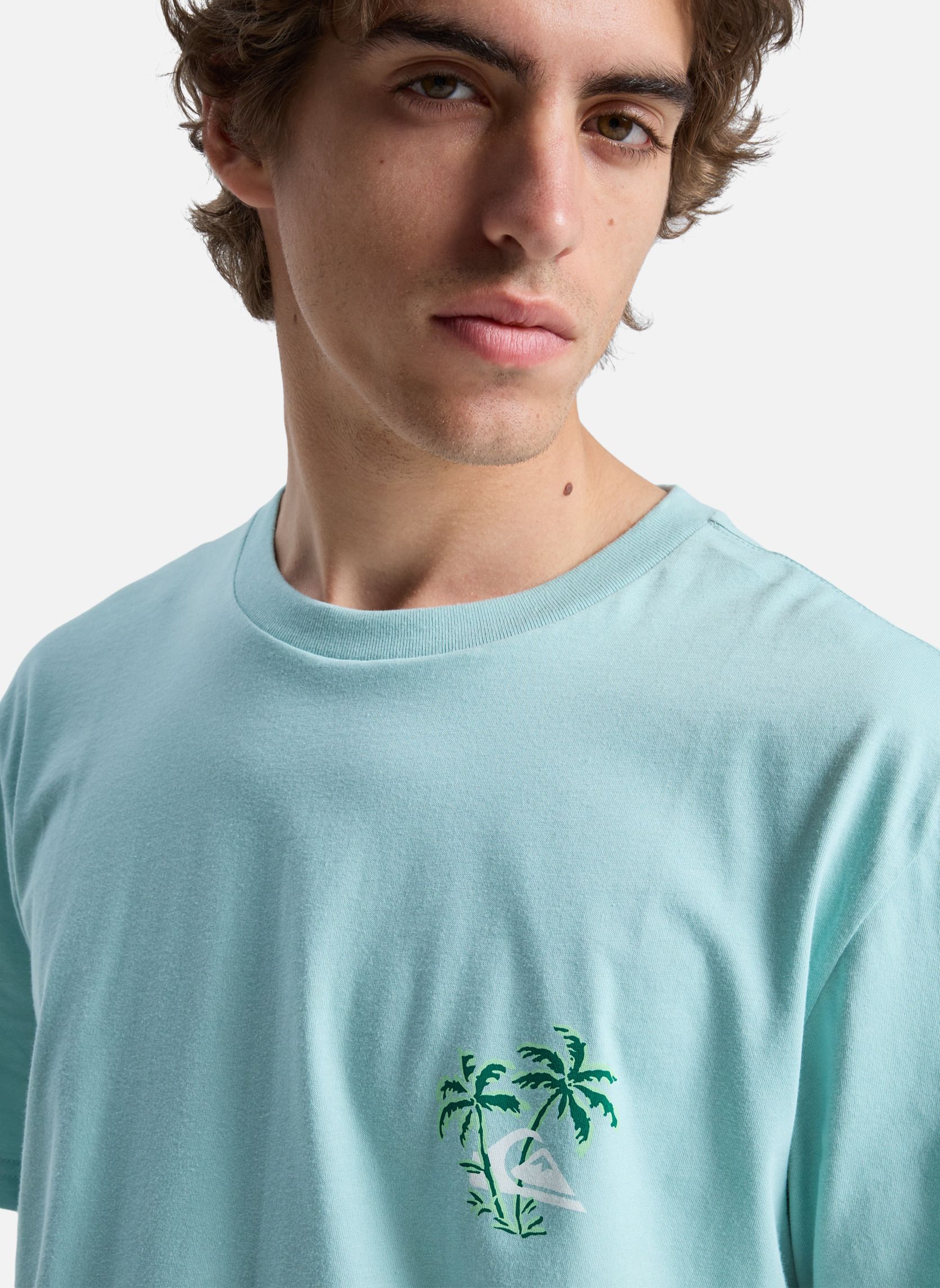 Tee-shirts Evo Learning From Nature homme bleu Quiksilver Tee-shirts Evo Learning From Nature homme bleu Bleu
