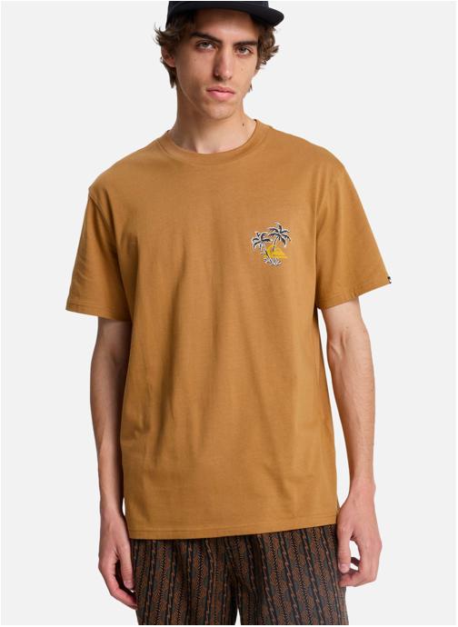 Quiksilver Tee-shirts Evo Learning From Nature homme marron